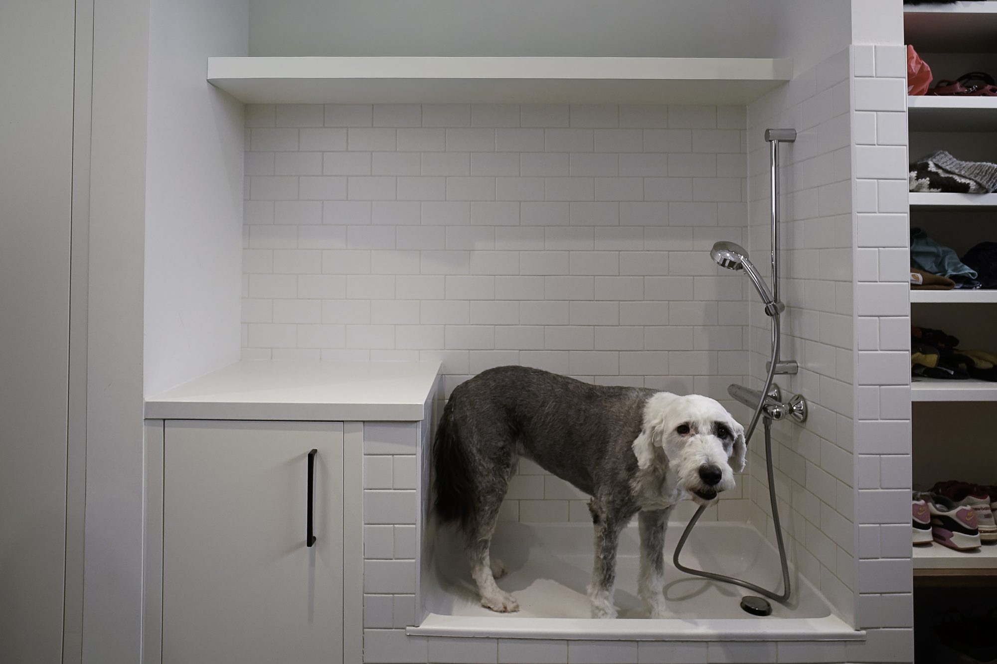 Laundry / Mudrooms project