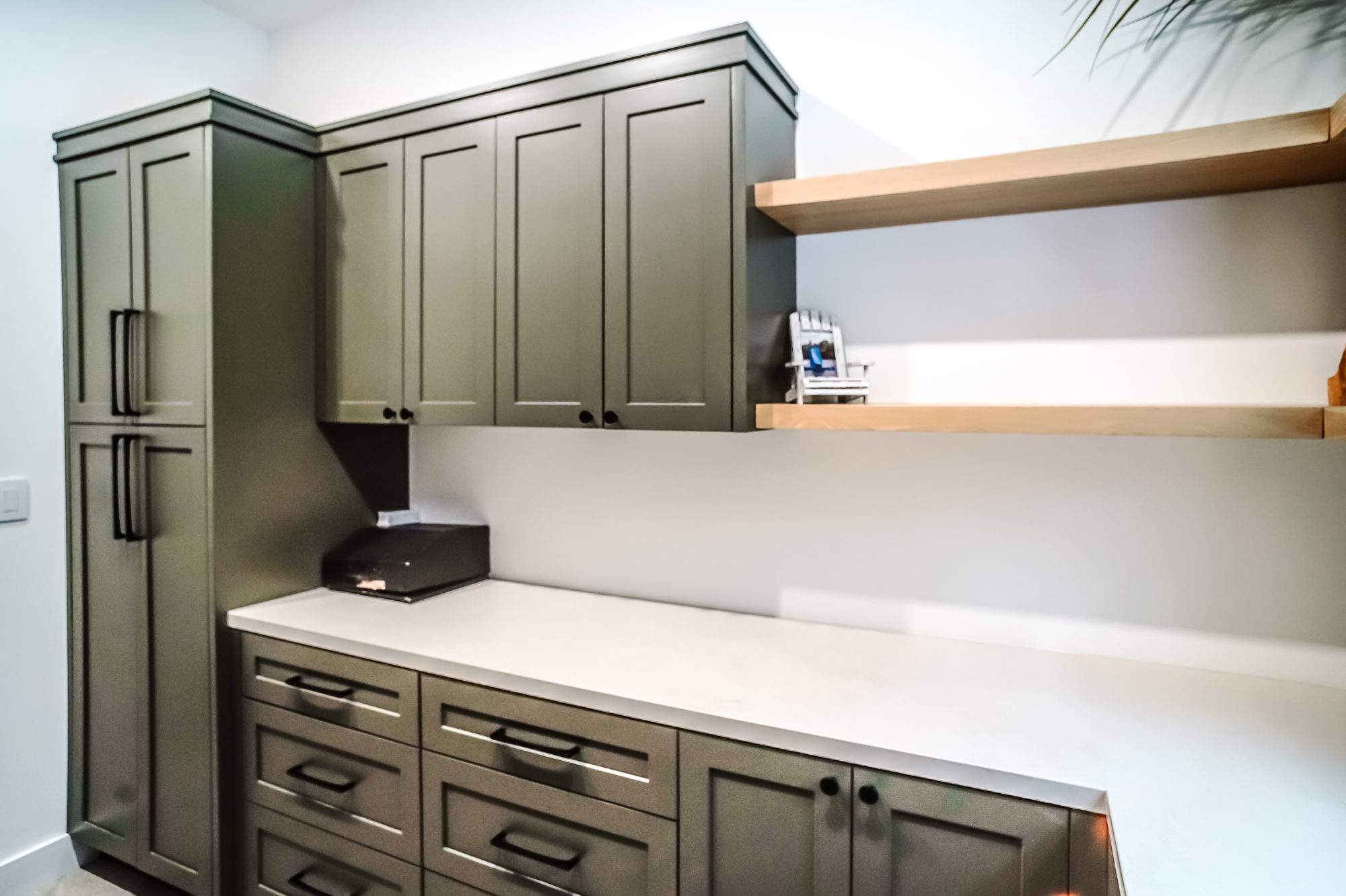 Living Spaces & Built-Ins project